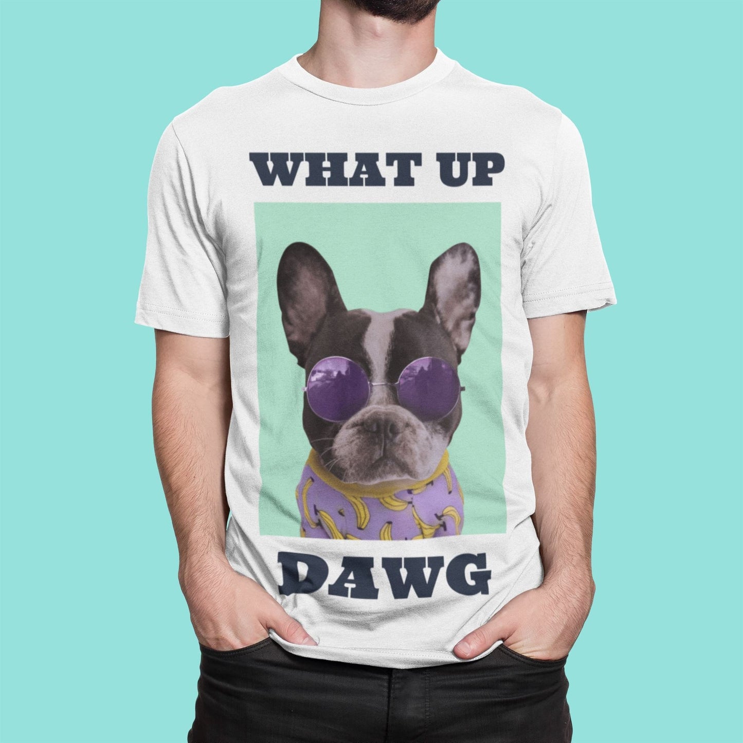 Cool Dawg