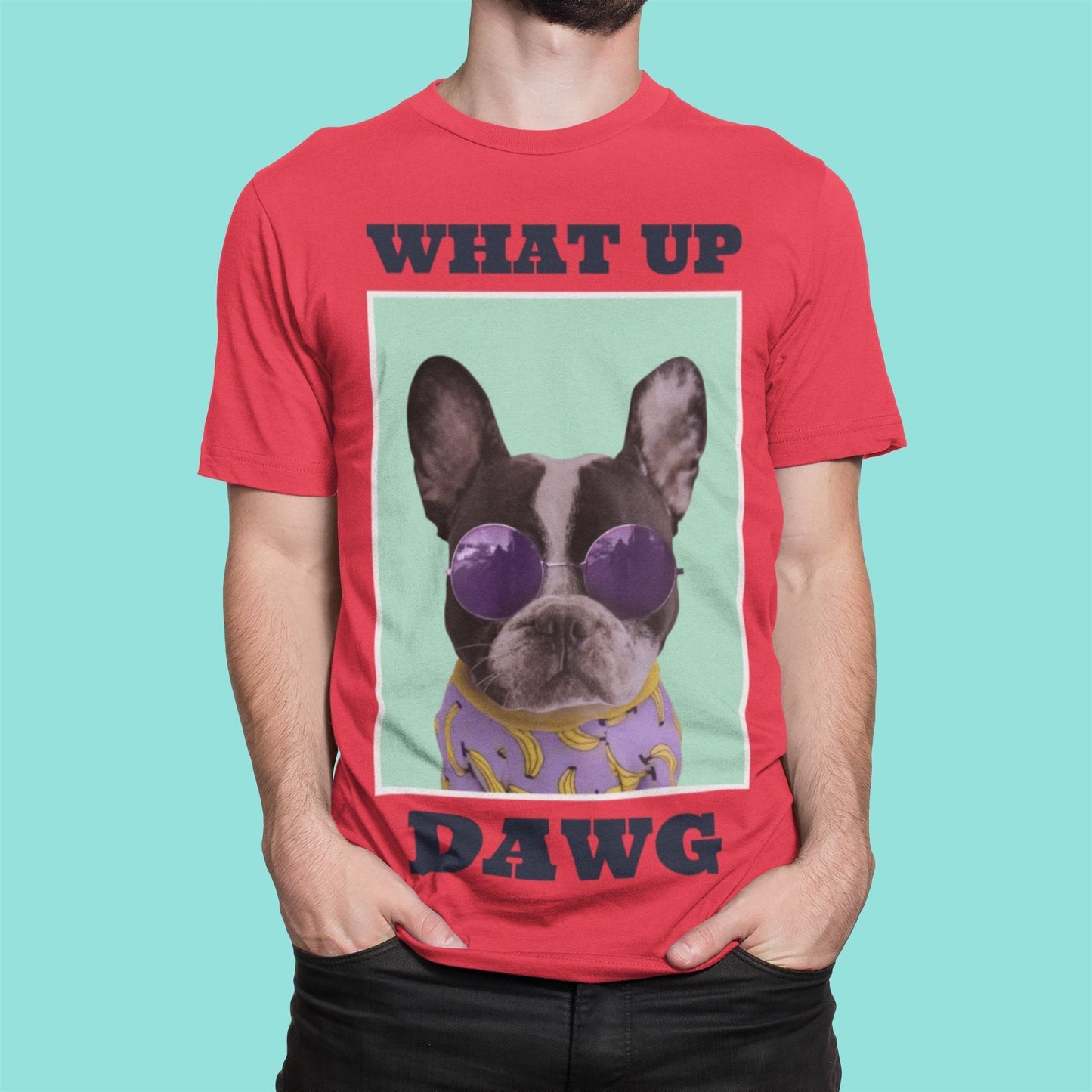 Cool Dawg