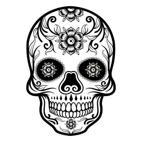 Custom Car Decals and more